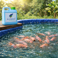 Probiotik Budidaya Ikan Nila Kolam Bioflok