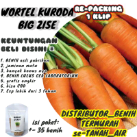 benih WORTEL KURODA ASLI