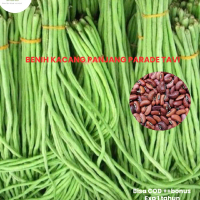 biji benih kacang panjang parade tavi isi (1000) biji++bonus
