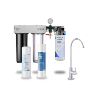 【EVERPURE 愛惠浦】櫥下型 PURVIVE Trio-PBS200無鉛龍頭三道式生飲淨水器(前置樹脂+PP)