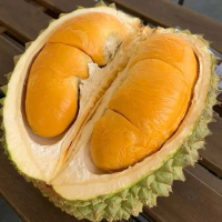 Benih bibit tanaman durian macam macam jenis
