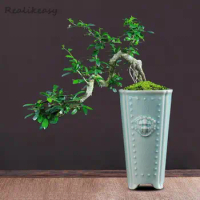 Creative Chinese Ceramic Flower Pot Handmade Cracking High Flower Pot Household Orchid Bonsai Pot Decorative Flower Pot LE142