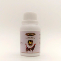 Obat Pembentuk Tulang dan Otot Khusus Ayam Laga Bangkok Birma Saigon