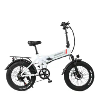 New 20 Inch 500W Adult Travel Electric Vehicle Fat Tire Foldable Electric Bicycle
