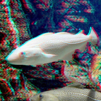 Gọng Kính 3D, Đỏ Xanh Dương, Cho Phim, DVD, Trò Chơi kích Thước Anaglyph