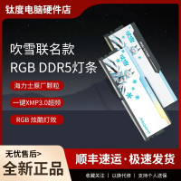 【千羽家居】阿斯加特華碩吹雪聯名RGB ddr5 32G/64G 48G套裝臺式機內存條6800