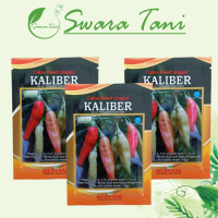 Q&J Benih Cabe Kaliber 10Gram Benih Cabai Rawit Unggul Wijitani DiskonFa421