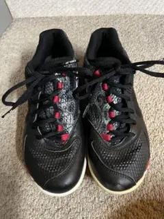 YONEX テニスシューズ SHB-03Z ブラック 03z yonexの価格比較なら-2025年11月 | BigGo日本