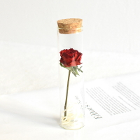 玫瑰干花試管滿天星許愿瓶送男友花束裝飾擺件520禮物送女友真花