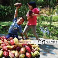 【阿信巧克力農場】入園全票