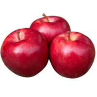 【RealShop】紐西蘭Dazzle蘋果30-35顆原裝箱 9.5公斤(全球限量發行 真食材本舖)