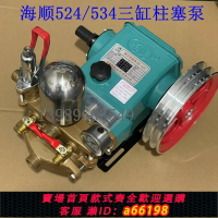 【台灣公司 可開發票】HS海順534型三缸柱塞泵524陶瓷免黃油動力噴霧機30高壓打藥噴霧器