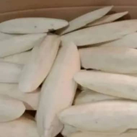 TULANG SOTONG BURUNG 15-20CM