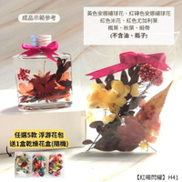 【A-ONE】浮游花DIY花材包 乾果花藝 乾花 天然植物風乾 楓葉 秋葉 繡球花 裝飾擺飾 乾燥花 H41