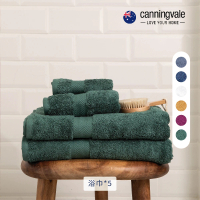 【canningvale】埃及棉經典浴巾5件組-6色任選(75x145cm)