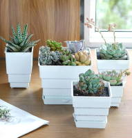 Succulent Mesh Pot Cactus MeshPot 7cm With Holes Square Succulent Pots Cactus Pasu Plastik Petak Suk