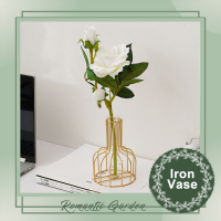 Nordic Golden Iron Vase with Hydroponic Glass for Ornaments Artificial Flower dried flowers Decor