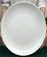 大盤子剁椒魚頭專用盤子家用裝大盤雞的盤子超大號白色蓋澆飯10寸