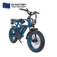 New Trend 20 Inch Fat Tire 48v Electric Hybrid Road Bike Fatbike With 750W Motor Long Range Battery E Bicycle