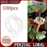 Pengikat Tanaman Plastik 100pcs Klip Tanaman Rambat Jepitan Tanaman Merambat Plant Clip Pengikat Bat