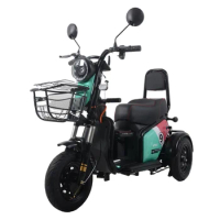 Ebike Hot Sale 500W Motored 3 Wheel Electric Tricycle Passenger