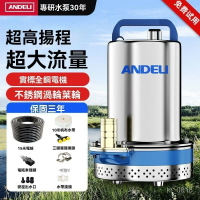 直流潛水泵 抽水機 沈水馬達 幫浦  12V24V48V電瓶電動車抽水泵 傢用農用灌溉水泵