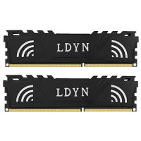 LDYN DDR5, 8G, 16G, 32G, 48G,4800MHz, 5600MHz, DIMM PC5-34800, 41600, 288pin, 1.1 V, Dual Channel, Desktop Memory With heat sink