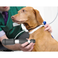 Veterinary equipment Chiropractic &amp; Animal ESWT Shockwave Treatment Acoustic Wave Massager Shockwave for Animal Machine