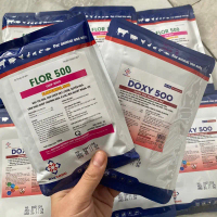 Combo Doxy 500 + Flor 500 (100g) daeyong gói bột hàm lượng cao xử lý các trường hợp hen nặng, hen ké
