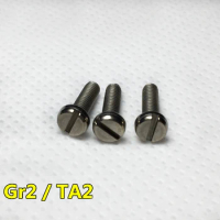 4Pcs M2*(3/4/5/6/8/10/12/14/16/18/20mm Length) Titanium Screw Slotted Cylindrical head Bolt DIN84 GR2/TA2 Screws