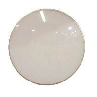 lampu baret plafon lampu plafon led lampu hias plafon Putih Gold