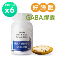 【佳醫】佳醫Salvia幫助入睡放輕鬆GABA膠囊 6瓶共360顆(好睡眠芝麻素色胺酸GABA純素植物性萃取)
