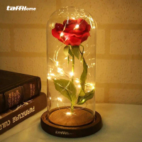 Lampu Tidur | Lampu Led | Lampu Tidur Led | Lampu Hias Kamar | Lampu Tidur Aesthetic | Lampu Tidur M