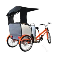 3 Wheel Taxi Bike Pedicab Two Passenger Loading Classical Design Three Wheel Motorcycle E Rickshaw Pedicab For Sale