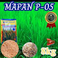 Benih padi Mapan P-05 berkualitas 8kg