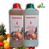 NEW 2 Liter BAJA AB (1L Solution A + 1L Solution B) Hydroponic Fertilizer and Fertigation Concentrat