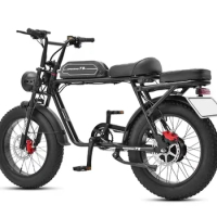 Cheap 20 Inch 48v Electric City Bike Folding 2 Seat E-bicycle 350w Lithium Battery E-bike Bicycle