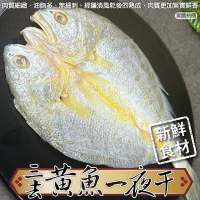 (滿額)【海陸管家】鮮凍三去黃魚一夜干1尾(每尾250-300g)