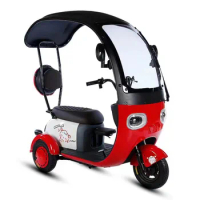 2023 Wholesale Three Wheeler E Bike Cargo Electric Tricycle 800W 3 Wheel Electric Scooter With Roof
