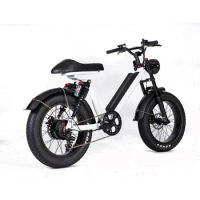 2023 Adult Electric Bike Fat Tire Full Suspension 500W 750w 1000w 48V 36v hub Motor Electric Fat tire e bike 20 Inch