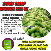 benih timun lalap unggul
