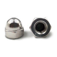 2025304 Stainless Steel Inch Cap Nut Round Head Decorative Nut Cap Nut Integrated Round Head Cap Bal