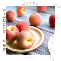 【果語老師】紅玉水蜜桃產地直銷高級禮盒(大果8入1.8台斤±10%)