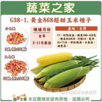 【蔬菜之家】G38-1.黃金868超甜玉米種子 (共2種包裝可選)