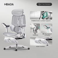 (Ready Stock)Hbada E3 Air/E3 Pro Ergonomic Office Chair with Dynamic Lumbar Support, Adjustable Head