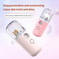 30ml Portable Rechargeable USB Steamer Humidifier Facial Sprayer Face Moisturizing Skin Care