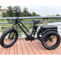 Mobility Tricycle Delivery Bike 48V 500W Adult Electric Three Wheel Bicycle With 26*4.0 Fat Tire With Takeout Box