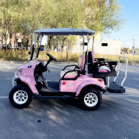 High Quality New Hunting Cart 4 Seater Electric Car Lithium Battery Powered Mini Trolley Golf Cart with CE DOT &amp; Solar Panel