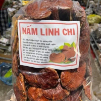 Nấm Linh Chi Đỏ Tây Bắc - Đặc Sản Đồ Ngâm Tây Bắc