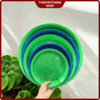 10 cái đường kính 30 cm, mâm tròn , nhiều màu, vệ sinh chuồng chim cảnh